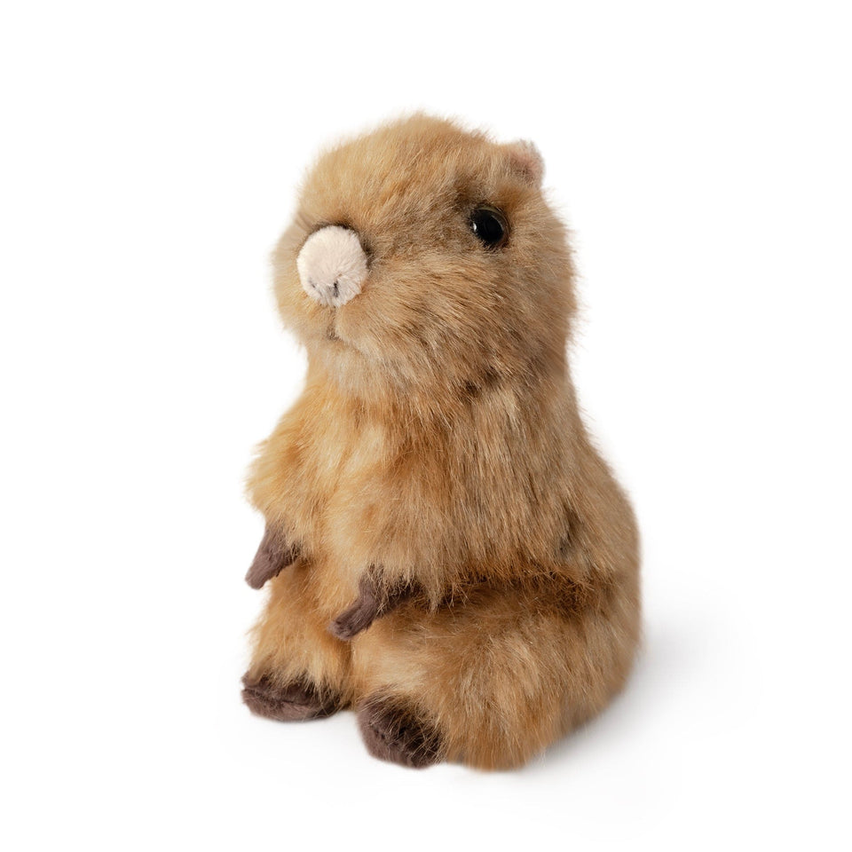 LIVING NATURE CAPYBARA PUP CUDDLY TEDDY PLUSH SOFT TOY