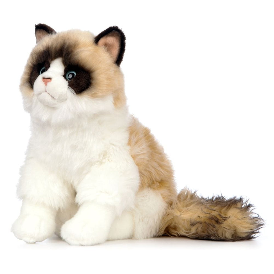 LIVING NATURE RAGDOLL CAT KITTEN 24CM SOFT CUTE CUDDLY PLUSH TOY TEDDY