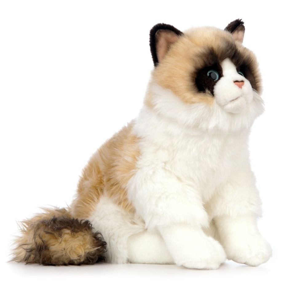 LIVING NATURE RAGDOLL CAT KITTEN 24CM SOFT CUTE CUDDLY PLUSH TOY TEDDY