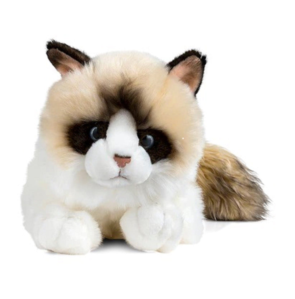 LIVING NATURE RAGDOLL CAT KITTEN 24CM SOFT CUTE CUDDLY PLUSH TOY TEDDY