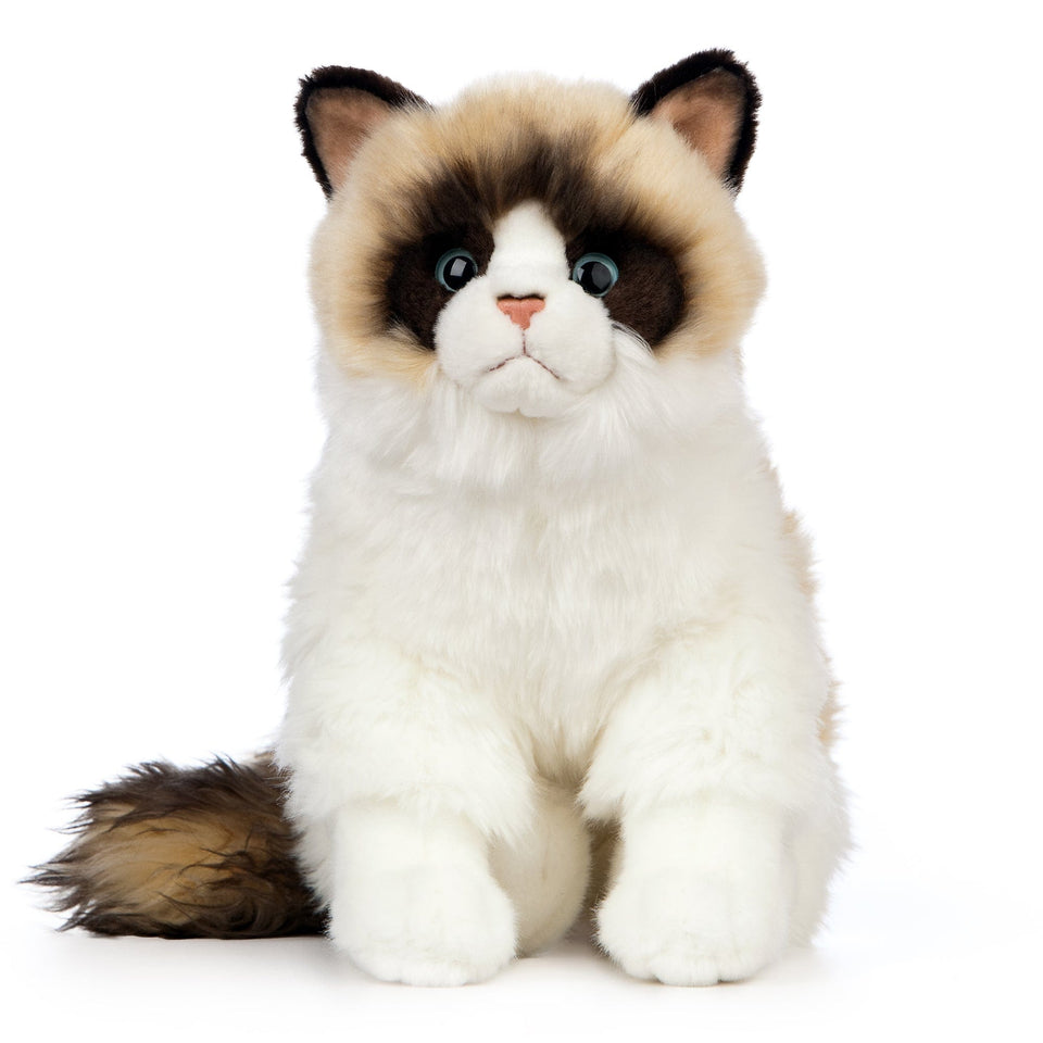 LIVING NATURE RAGDOLL CAT KITTEN 24CM SOFT CUTE CUDDLY PLUSH TOY TEDDY