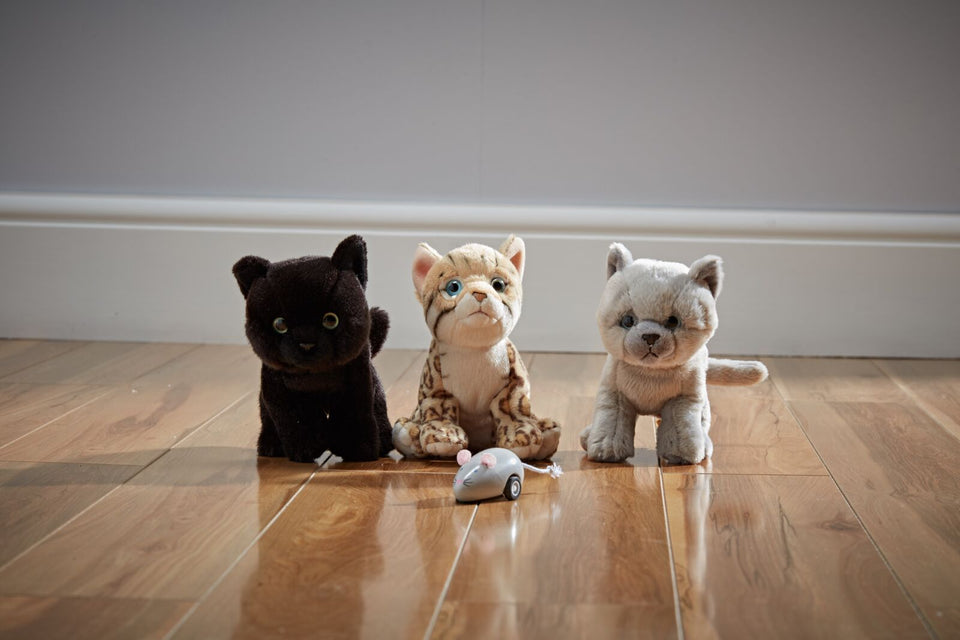 Cuddly Soft Toy Cats