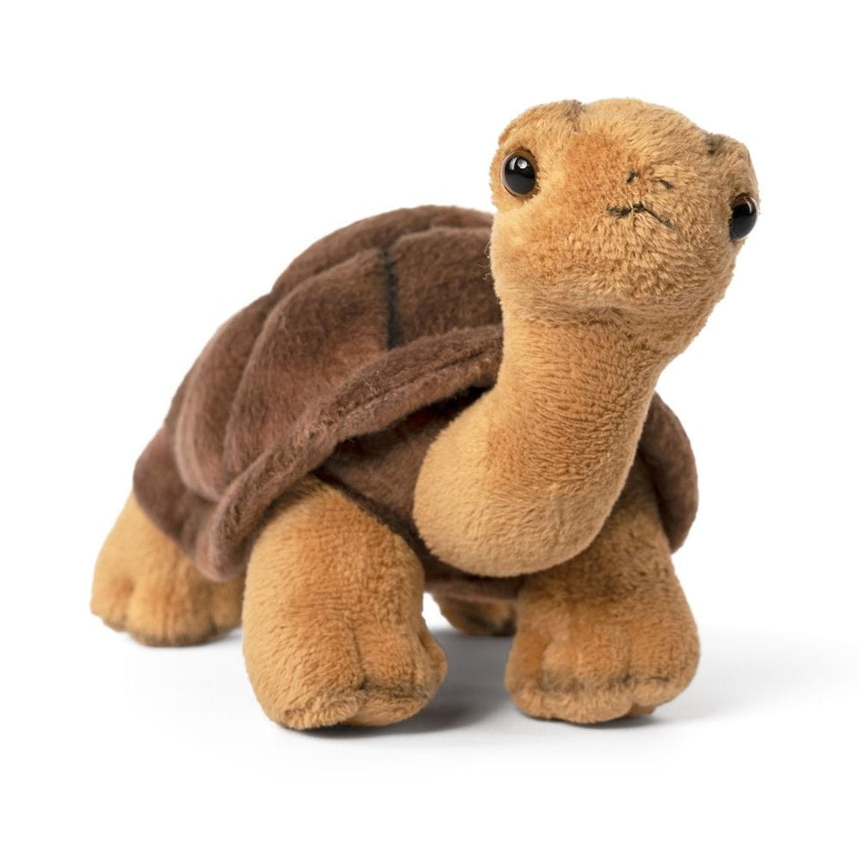 LIVING NATURE TORTOISE PLUSH CUDDLY SOFT TOY TURTLE TEDDY