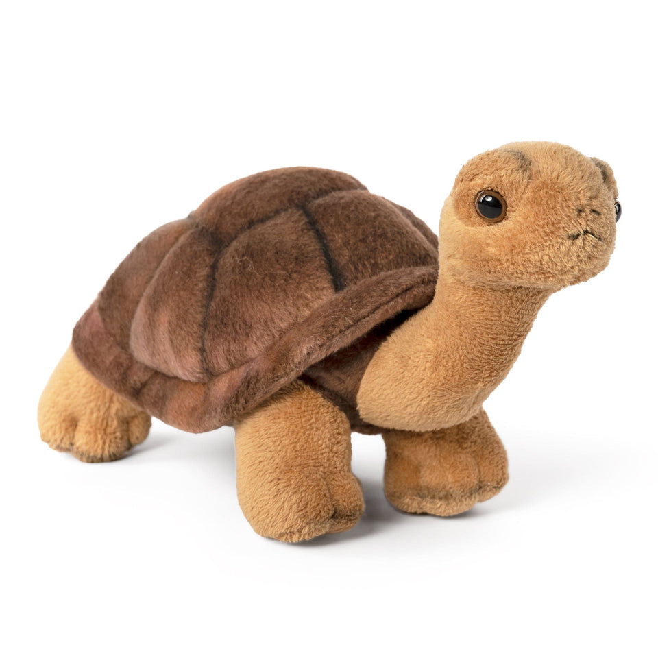 LIVING NATURE TORTOISE PLUSH CUDDLY SOFT TOY TURTLE TEDDY