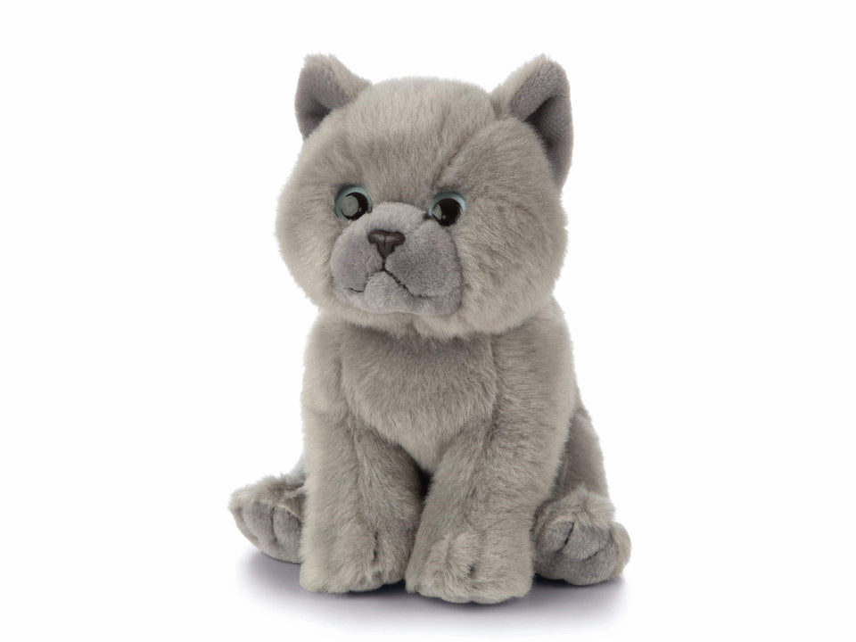 LIVING NATURE BRITISH GREY SHORT HAIR KITTEN CAT PLUSH TOY TEDDY