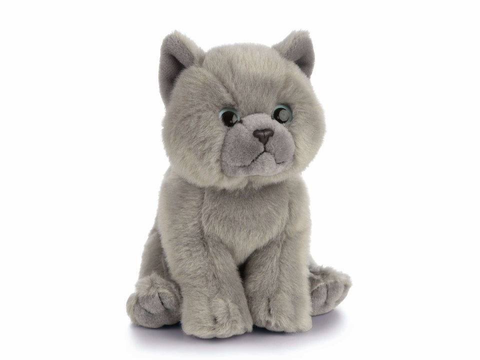 LIVING NATURE BRITISH GREY SHORT HAIR KITTEN CAT PLUSH TOY TEDDY