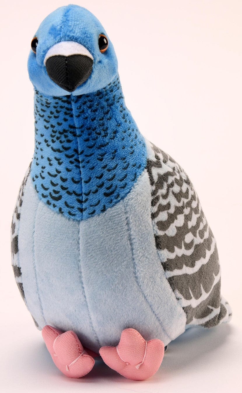 Pigeon Plush Cuddly Soft Toy Kingdom of Toys