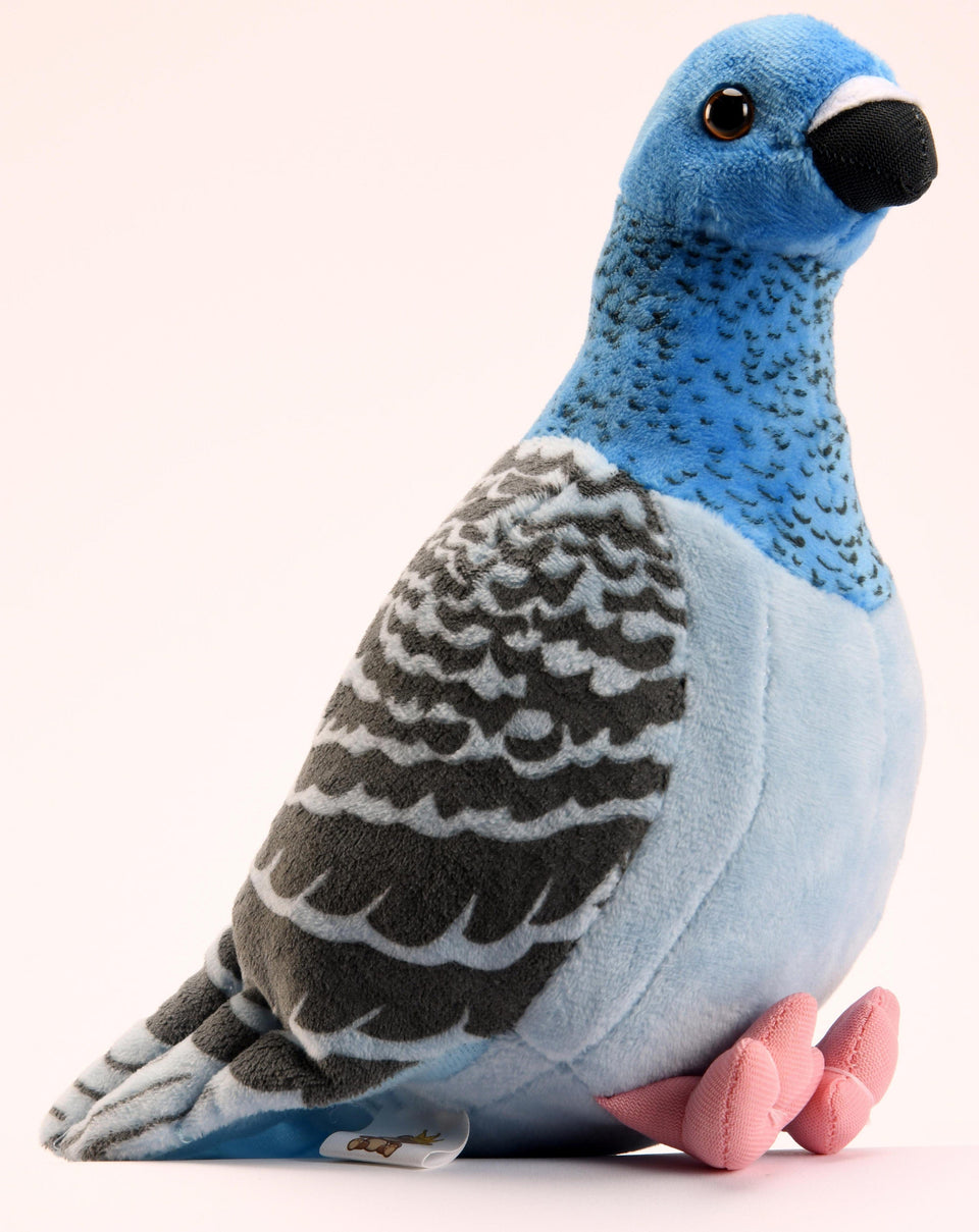 Pigeon Plush Cuddly Soft Toy Kingdom of Toys