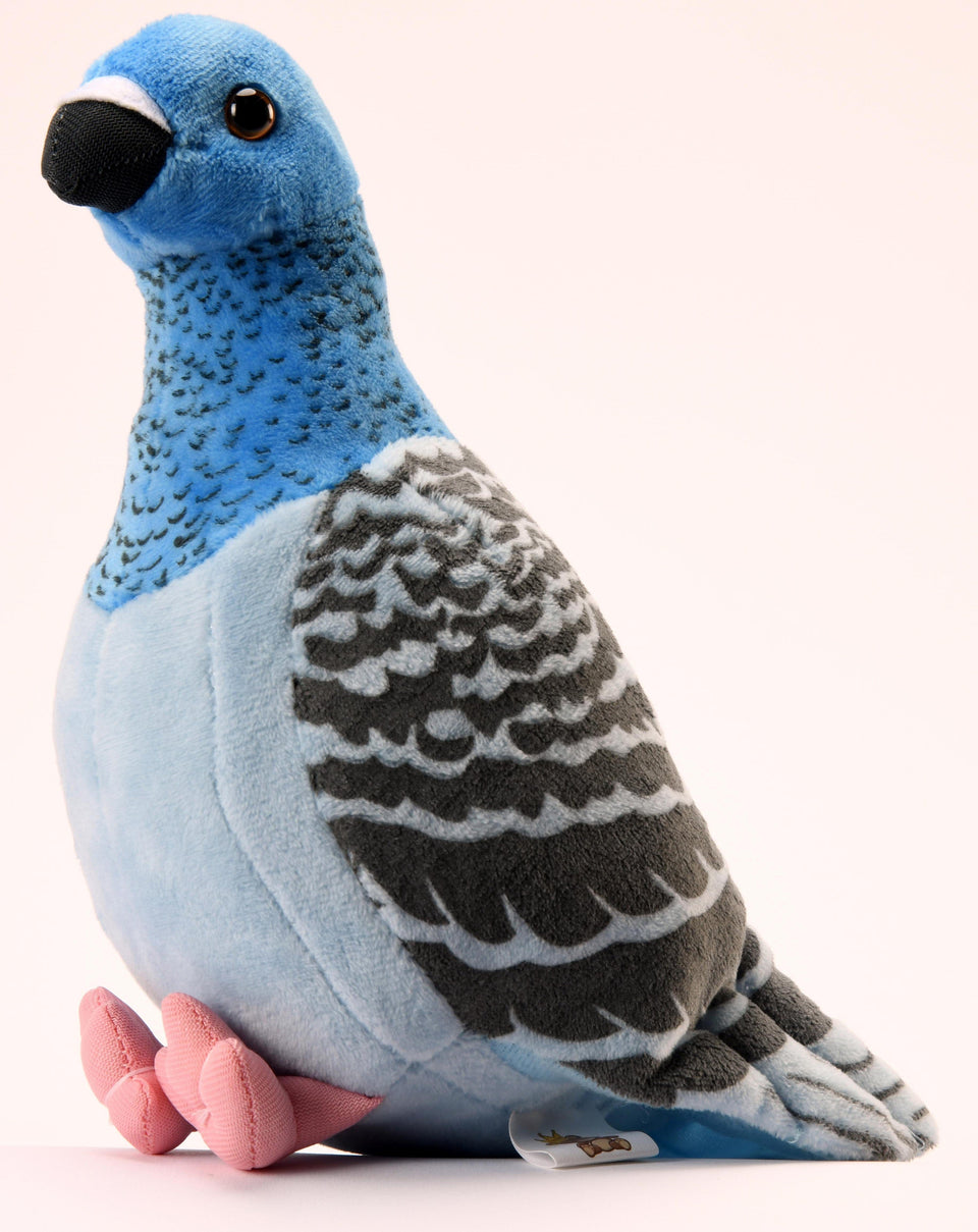 Pigeon Plush Cuddly Soft Toy Kingdom of Toys