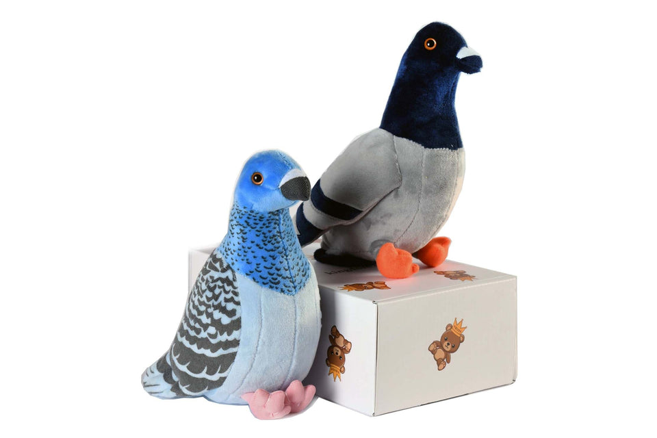 PLUSH PIGEON SOFT TOY WITH PREMIUM PACKAGING